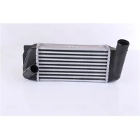 Intercoolery RI761463NS