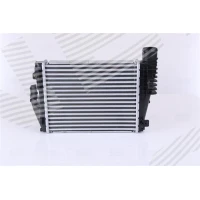 Intercoolery RI775067NS