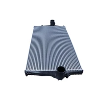 Intercoolery RI811323MX