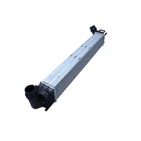Intercoolery RI972385MX