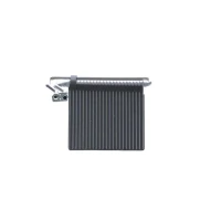 PAROWNIK KLIMATYZACJI RPE470559MH