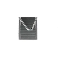 PAROWNIK KLIMATYZACJI RPE731118MH