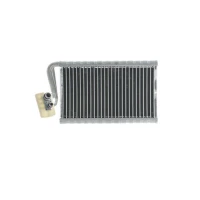 PAROWNIK KLIMATYZACJI RPE854948MH