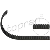 PASEK ROZRZĄDU TB423231TP