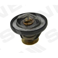TERMOSTAT TDG002O