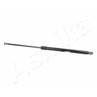 SPRĘŻYNA GAZOWA BAGAŻNIKA TGS250397AA