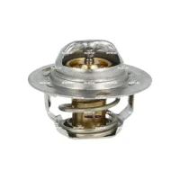 TERMOSTAT TM000702NF