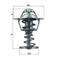 TERMOSTAT TM001313MH