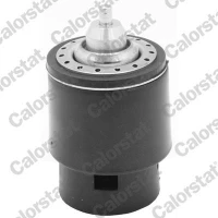 TERMOSTAT TM001897CT