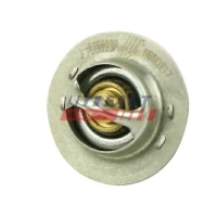 TERMOSTAT TM007682FST