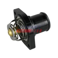 TERMOSTAT TM026202FST