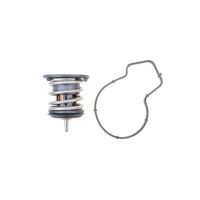 TERMOSTAT TM029274MH