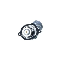 TERMOSTAT TM058134NF
