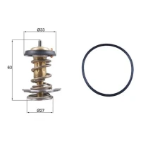 TERMOSTAT TM065246MH