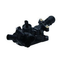TERMOSTAT TM066228MX