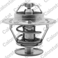 TERMOSTAT TM069136CT