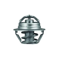 TERMOSTAT TM072935MH