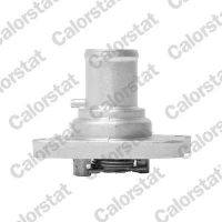 TERMOSTAT TM080733CT
