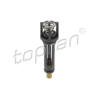 TERMOSTAT TM098996TP