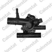 TERMOSTAT TM106544CT