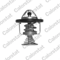 TERMOSTAT TM109544CT