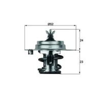 TERMOSTAT TM110200MH