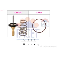 TERMOSTAT TM118029FC