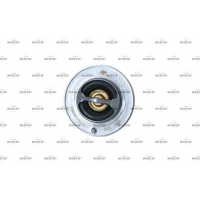 TERMOSTAT TM119593NF