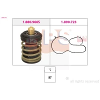 TERMOSTAT TM123930EPS