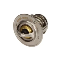 TERMOSTAT TM137968MX