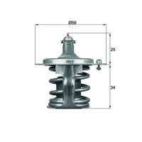 TERMOSTAT TM142079MH