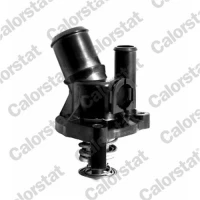 TERMOSTAT TM148108CT