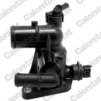 TERMOSTAT TM159119CT