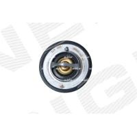 TERMOSTAT TM171528NF