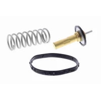 TERMOSTAT TM172391VM