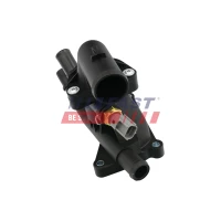 TERMOSTAT TM176874FST