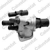 TERMOSTAT TM201988CT