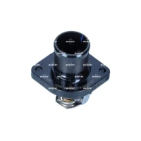 TERMOSTAT TM248905NF