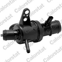 TERMOSTAT TM249088CT