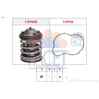 TERMOSTAT TM249173FC