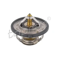 TERMOSTAT TM249514TP