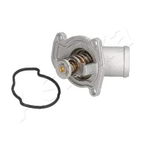TERMOSTAT TM252243AA