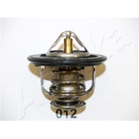 TERMOSTAT TM252429AA