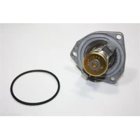 TERMOSTAT TM257841AU
