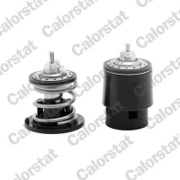 TERMOSTAT TM261742CT