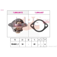 TERMOSTAT TM263463EPS
