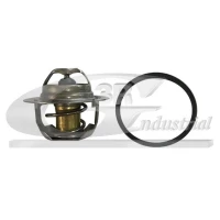 TERMOSTAT TM264102RG