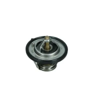TERMOSTAT TM264507MX