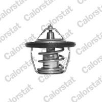TERMOSTAT TM271929CT