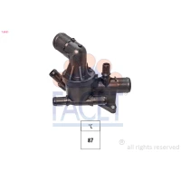 TERMOSTAT TM295181FC